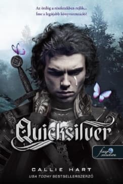 Quicksilver (Tündék és Alkímia 1.) borítója