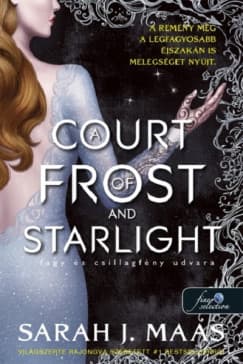 A Court of Frost and Starlight – Fagy és csillagfény udvara (Tüskék és rózsák udvara 3,5) borítója