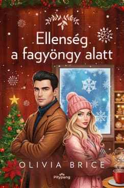Ellenség a fagyöngy alatt borítója