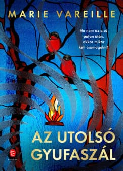 Az utolsó gyufaszál borítója